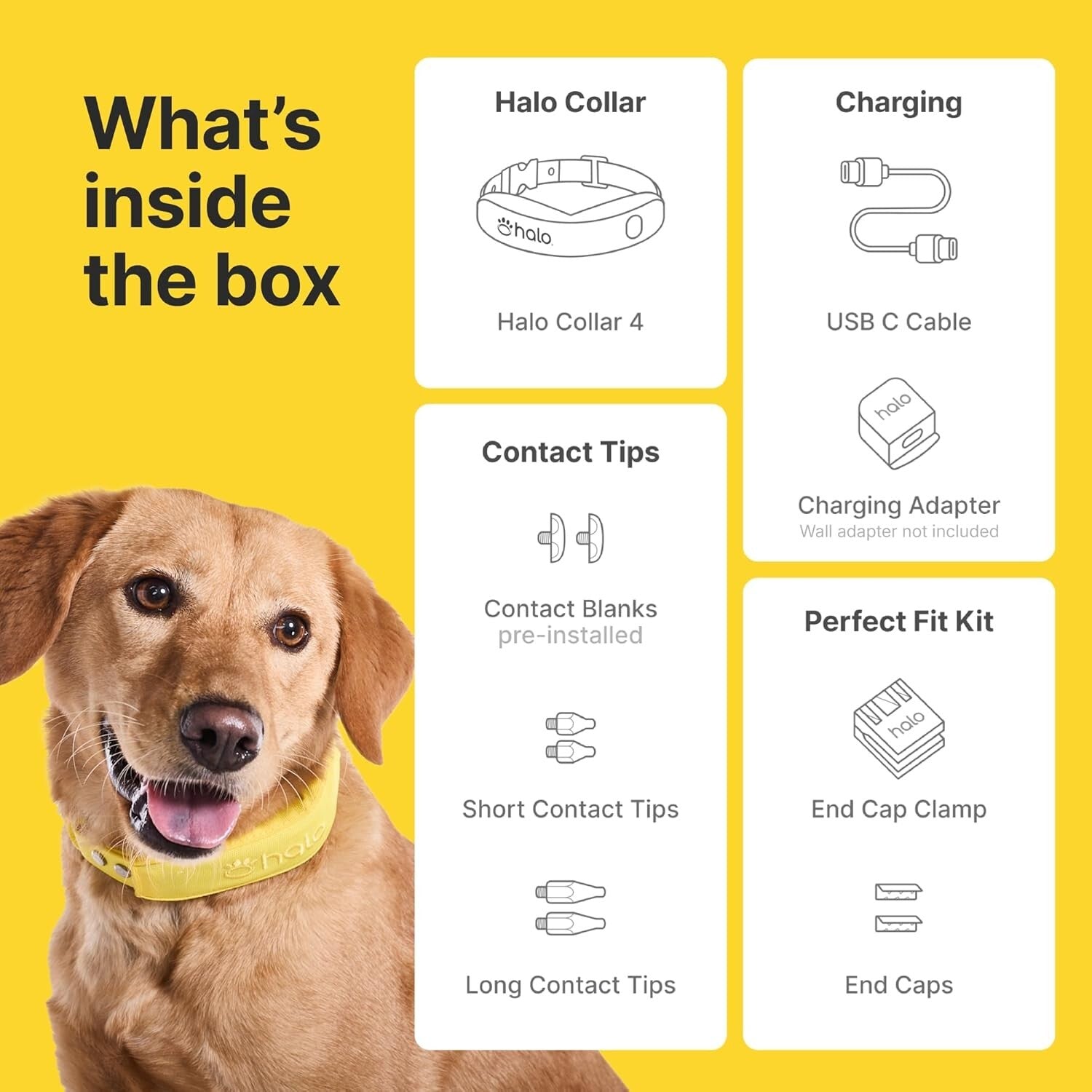 Customizable GPS Dog Training Collar with Wireless Fence - Subscription Included