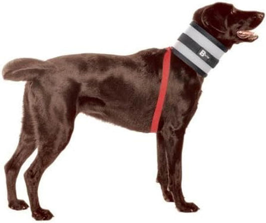 Flexible Foam Dog Collar, 27" L - Protects Large Dogs Without Restriction