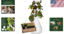 Load image into Gallery viewer, Medium Hydroponic Vertical Planter with 24 Pre-Sprouted Plants - Easy Gardening