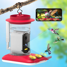 Load image into Gallery viewer, Ultimate Hummingbird Feeder with 4K Camera—AI Species Identifier &amp; Notifications
