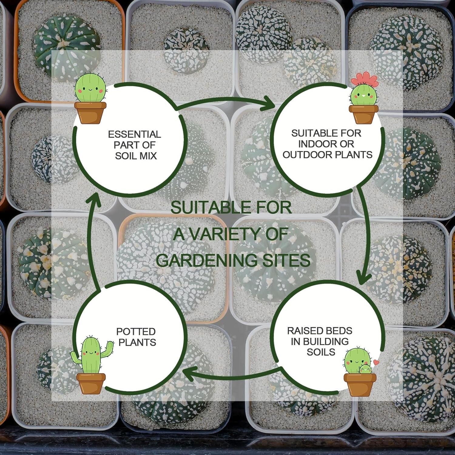 Superior Soil Conditioner: 30QT Organic Perlite for Improved Root Growth