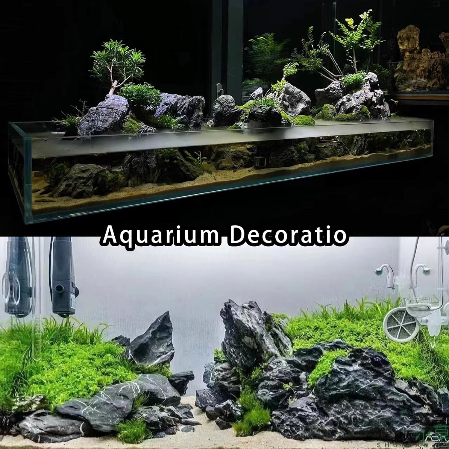 Premium 20LB Seiryu Rock - Durable & Safe Aquarium Stone for Aquatic Landscapes