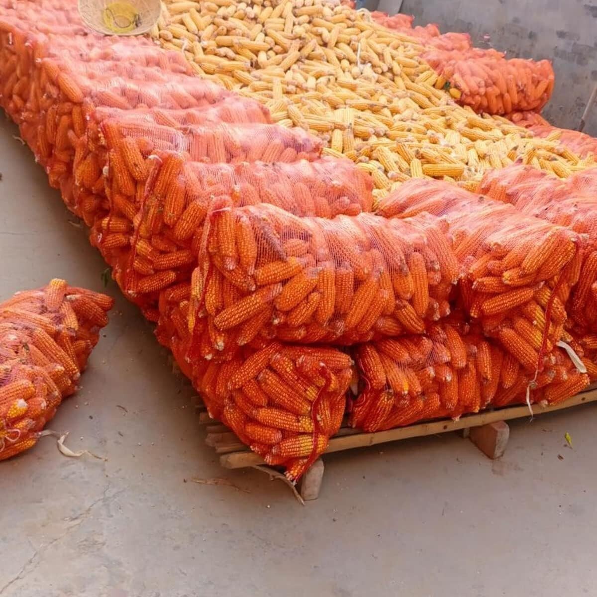 Extra Large 21 x 32 Inch Mesh Vegetable Storage Bags - 60 lbs Capacity