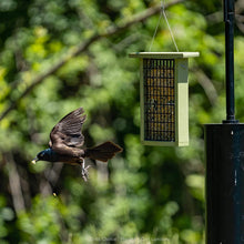 Load image into Gallery viewer, Squirrel-Proof 2 Arm Bird Feeder Pole Set with Durable Baffle &amp; Ground Twister