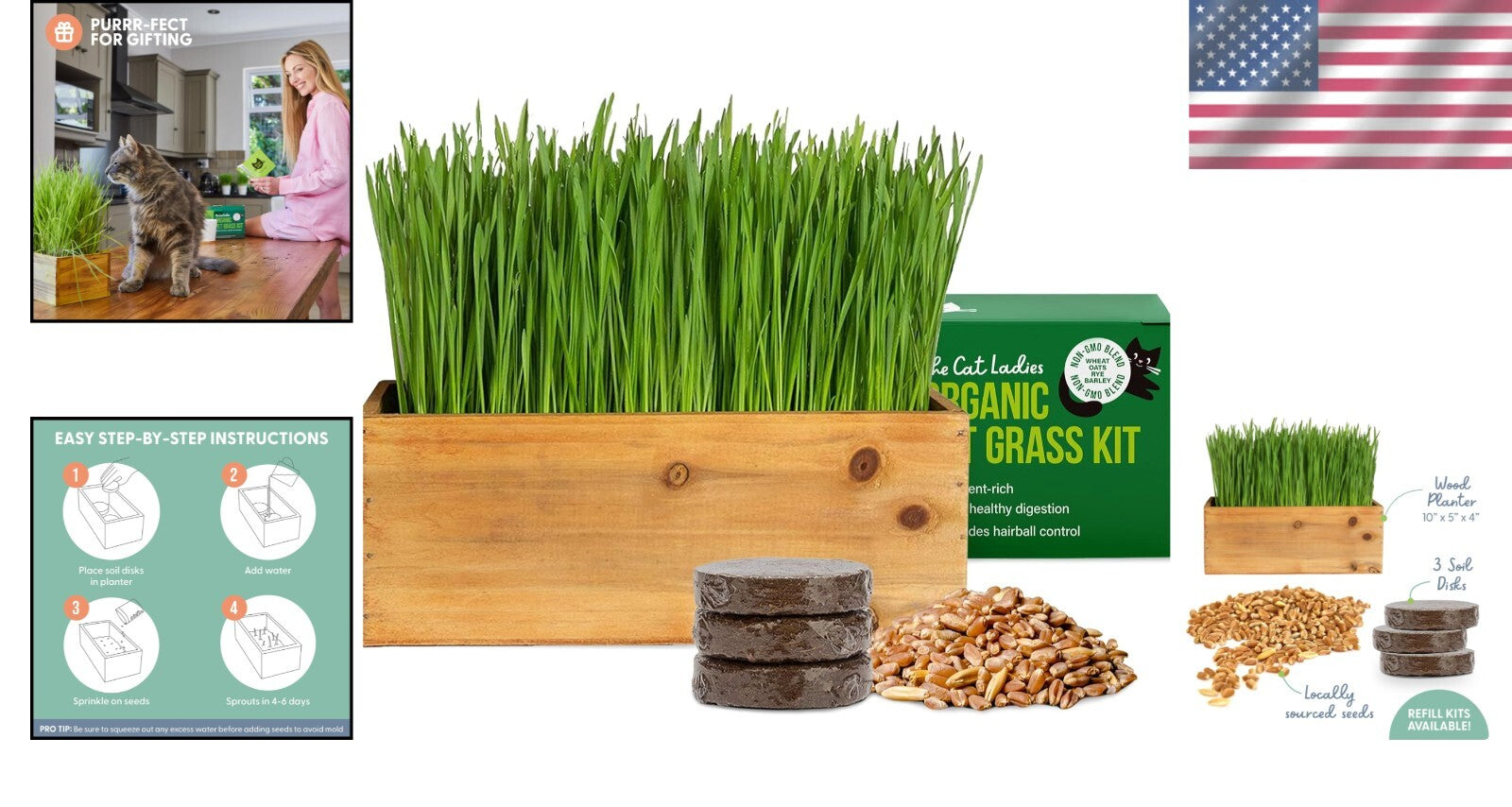 Elegant Cat Grass Kit in Rustic Wood Planter - Nourish & Decorate Your Home