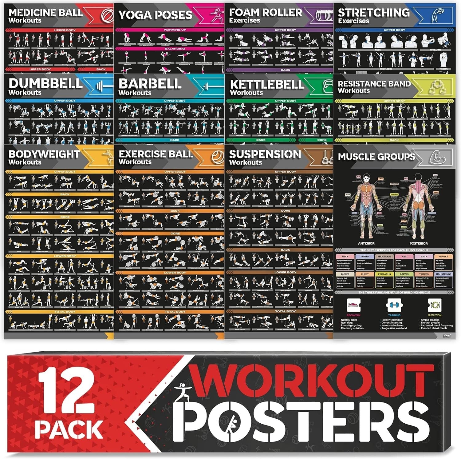 Striking Home Gym Workout Posters - Includes Dumbbell and Yoga Exercise Charts