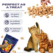 Load image into Gallery viewer, Pure Wild Salmon Cat Treats - 3oz Each, 3 Pack - Omega Rich and Vet Approved