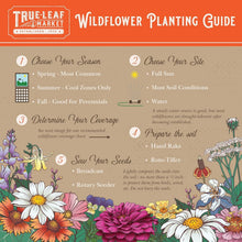 Load image into Gallery viewer, Stunning 1 lb Wildflower Seed Blend - Attract Bees &amp; Butterflies - Easy to Grow