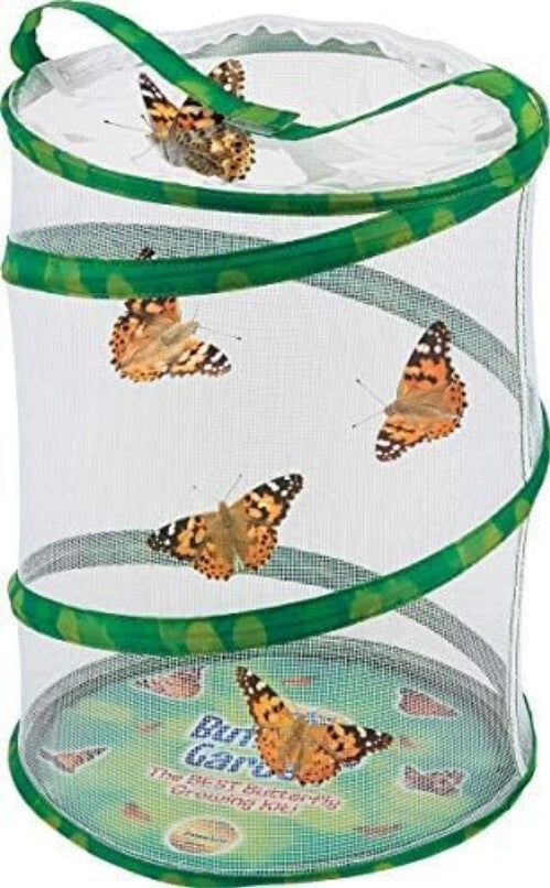 Engaging Butterfly Metamorphosis Kit | 10 Caterpillars & 12" Habitat for Kids