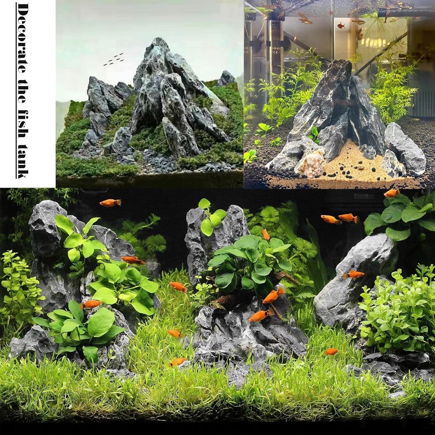 Premium 20LB Seiryu Rock - Durable & Safe Aquarium Stone for Aquatic Landscapes