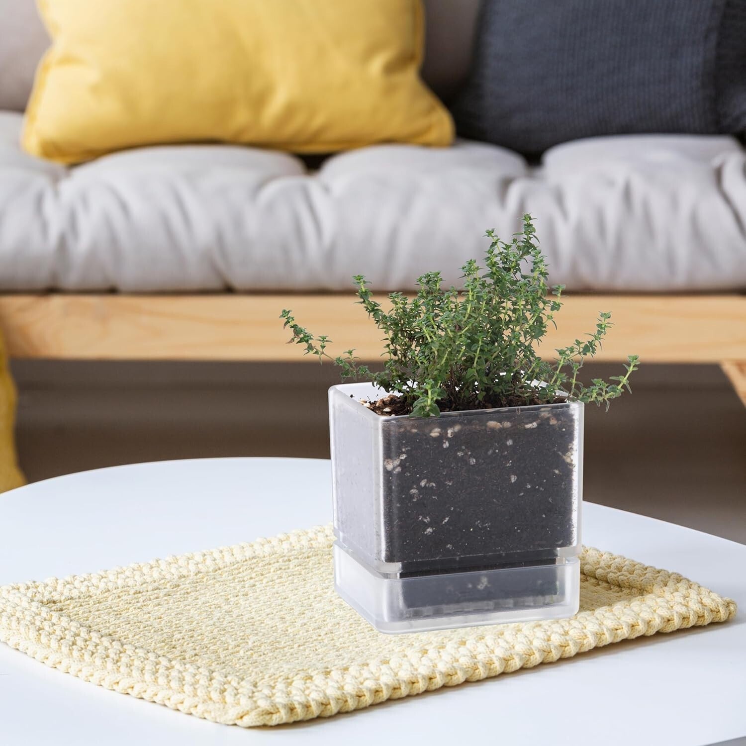 Stylish 4-Inch Plastic Herb Planter Pots with Drainage Holes for Indoor Use