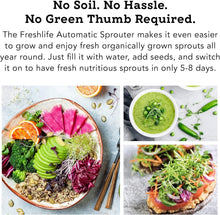 Load image into Gallery viewer, Freshlife FL-3000: Automatic Seed Sprouter for Year-Round Organic Greens