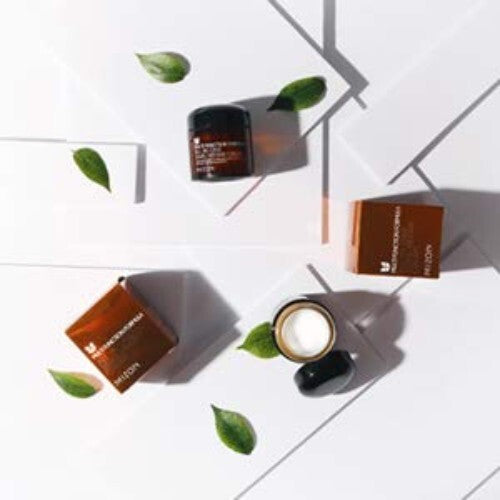 All-in-1 Snail Repair Cream 75ml - 3 Pack for Skin Regeneration & Hydration