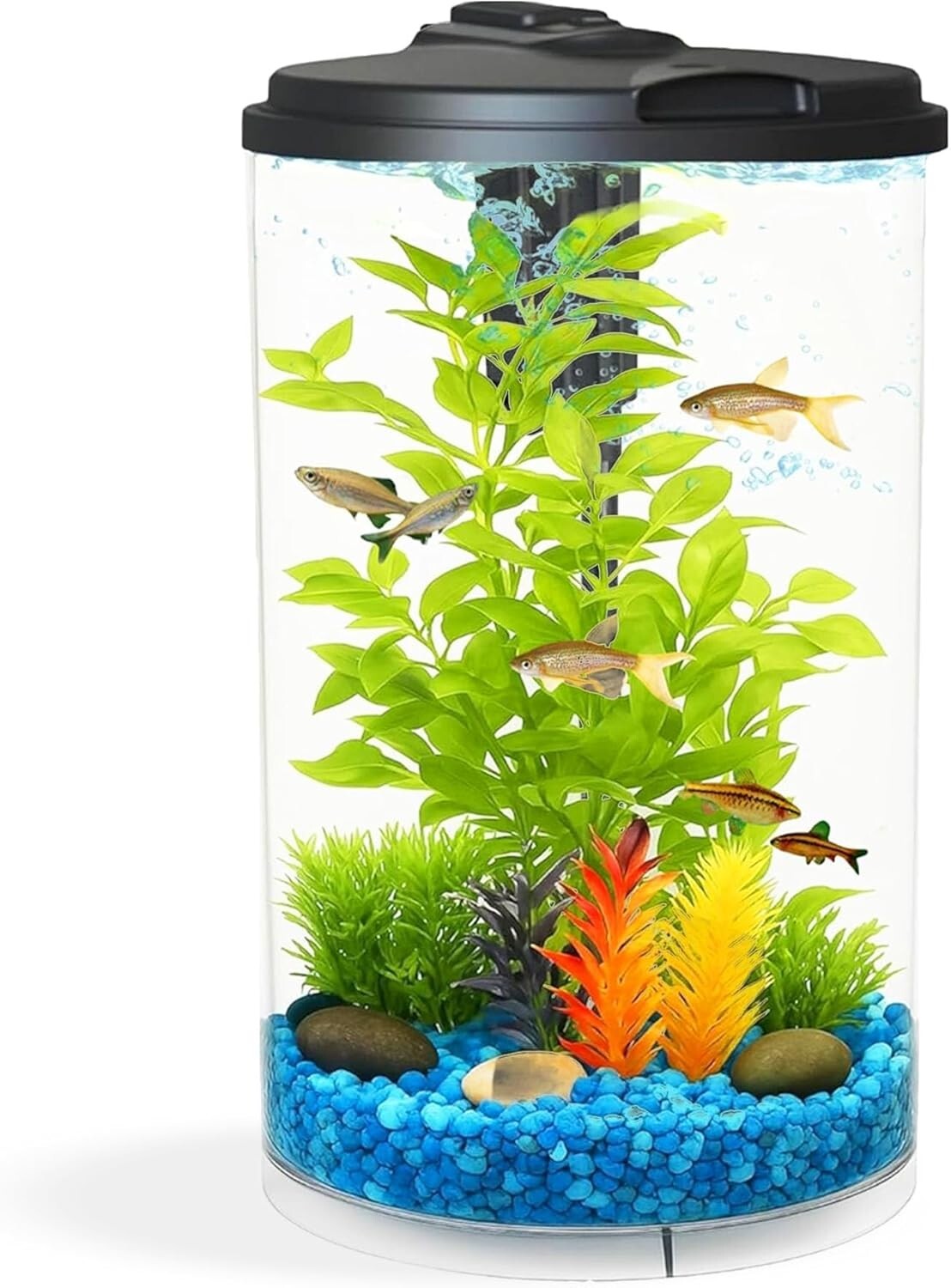 360-Degree View Fish Tank: AquaView 3-Gallon Aquarium with Colorful LED Lights