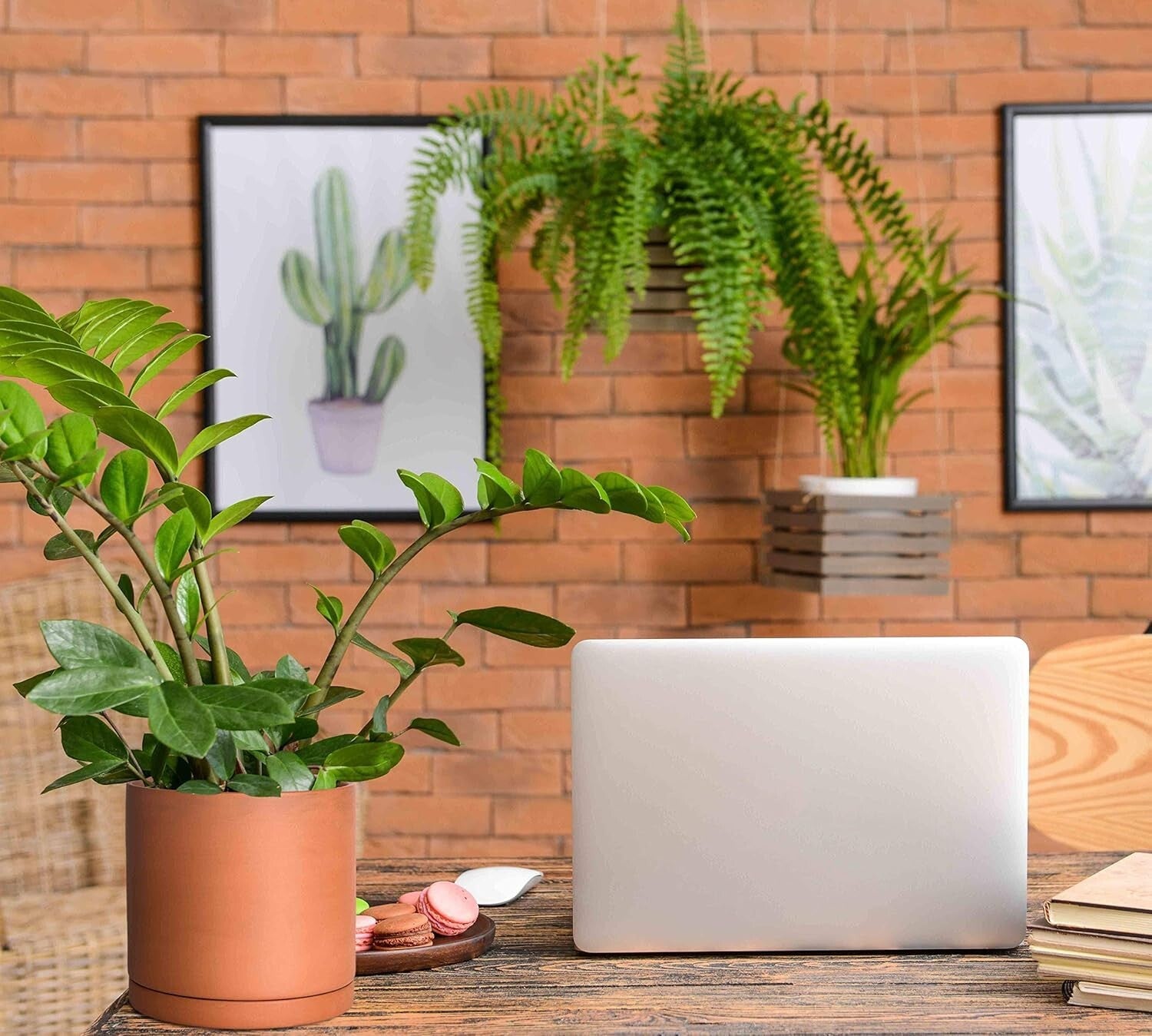 Breathable Terracotta Plant Pots Set – Drainage & Protective Saucers Included