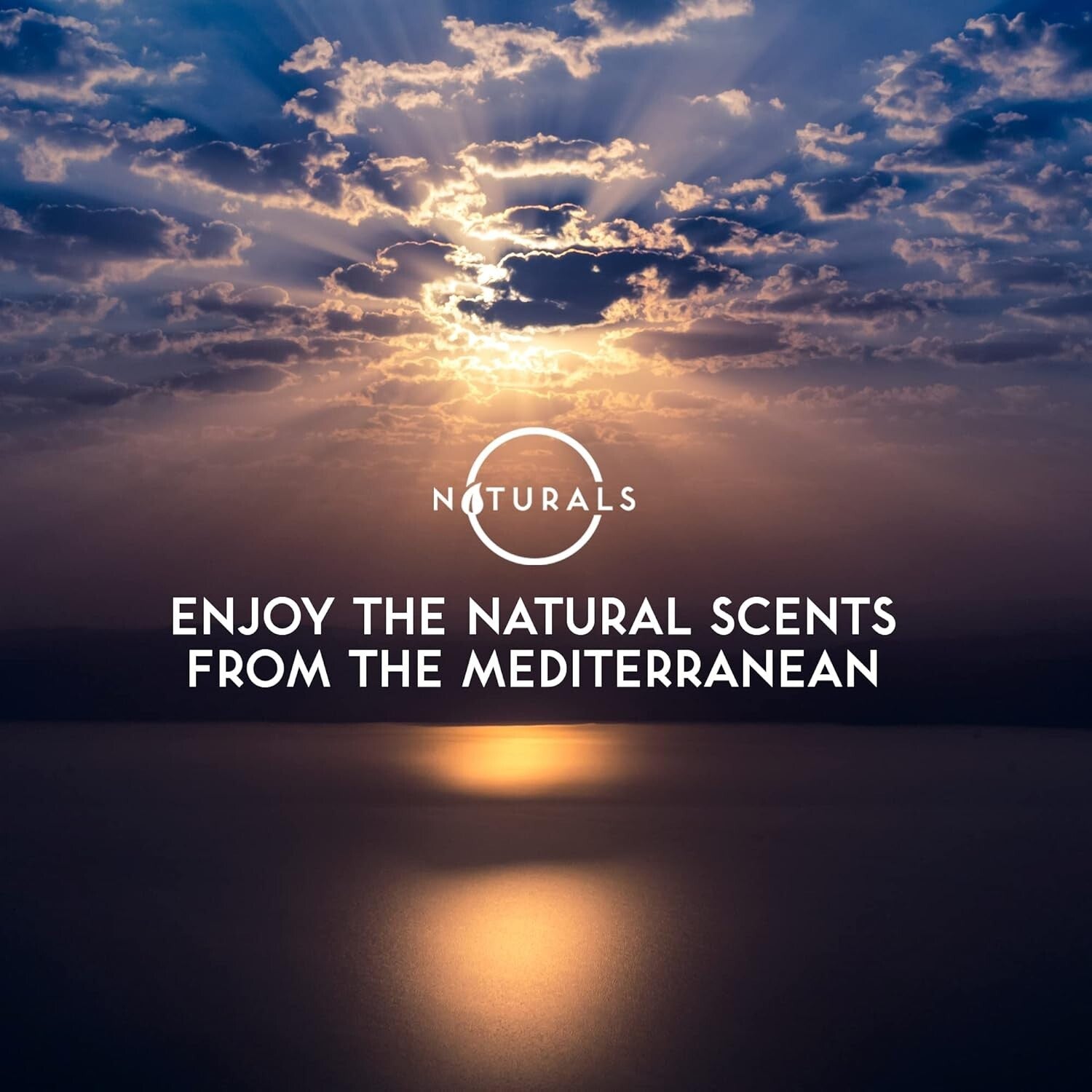 Luxurious 10pc Vegan Bar Soap Set - Natural Ingredients with Exfoliating Oils