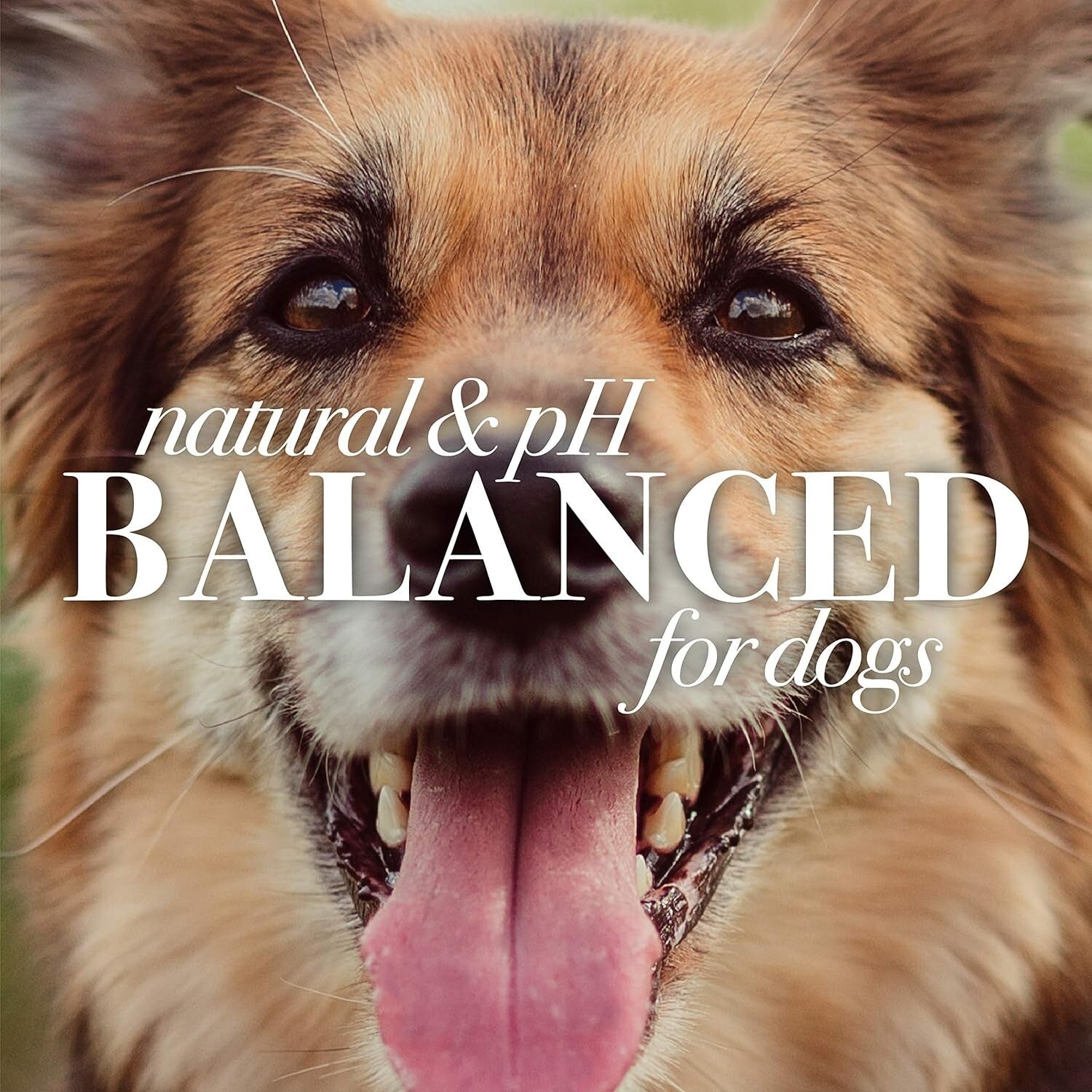 Eco-Friendly Grooming Wipes for Dogs - Hypoallergenic & Made in the USA - 6 Pack