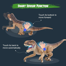 Load image into Gallery viewer, Realistic Walking T-Rex RC Toy - Touch Sensors, Lights, and Spray Feature