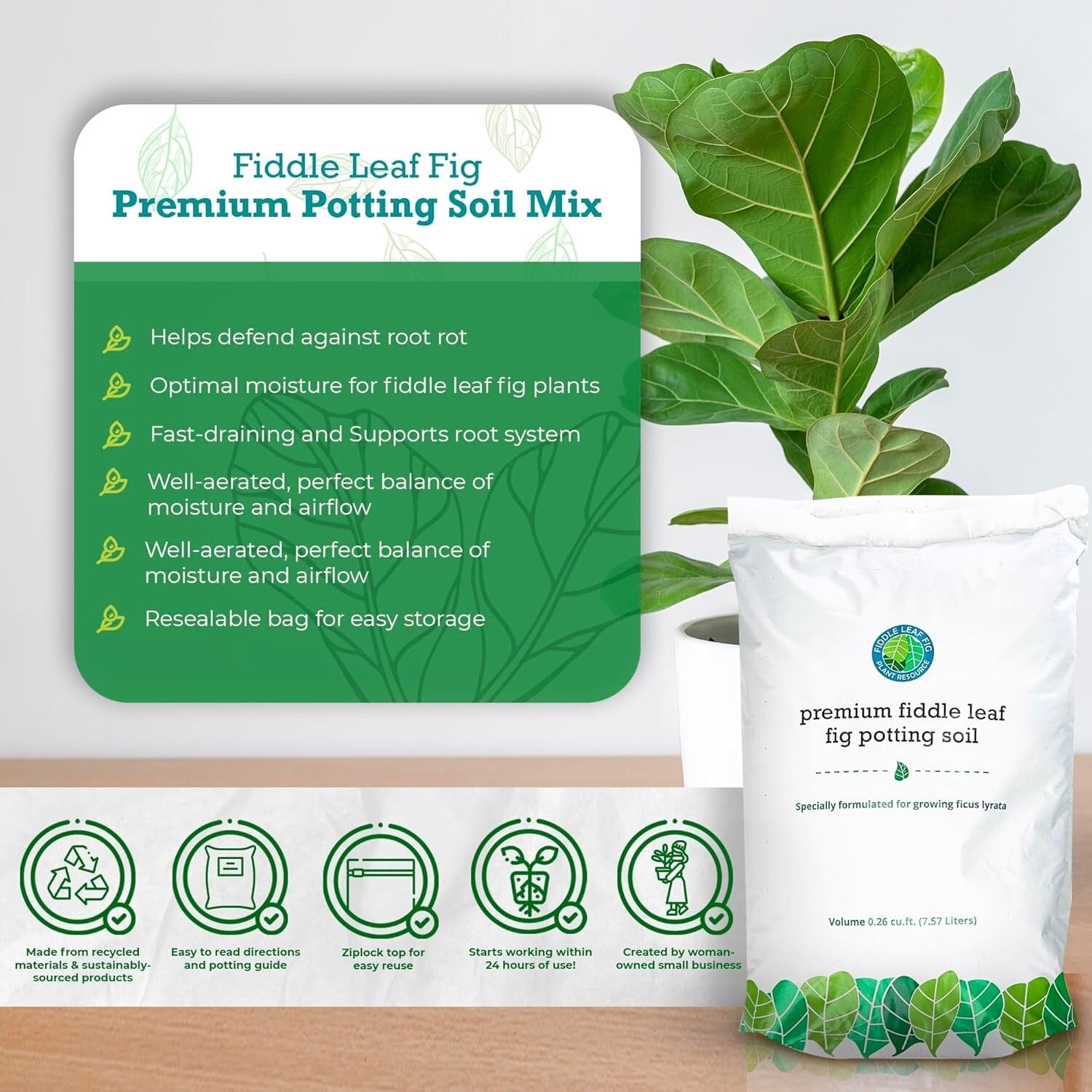 Sustainably Sourced Fiddle Leaf Fig Soil - Nutrient-Rich & Pre-Mixed Solution