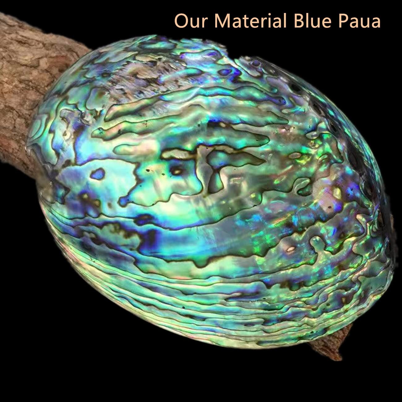 Transparent Abalone Shell Sheets - Perfect for Instruments, Furniture & More