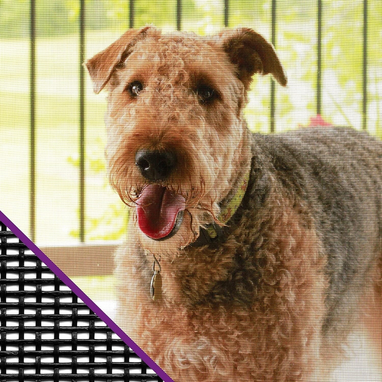 Saint-Gobain 48" x 100' Heavy-Duty Pet Screen - Flame Resistant & Tear Proof