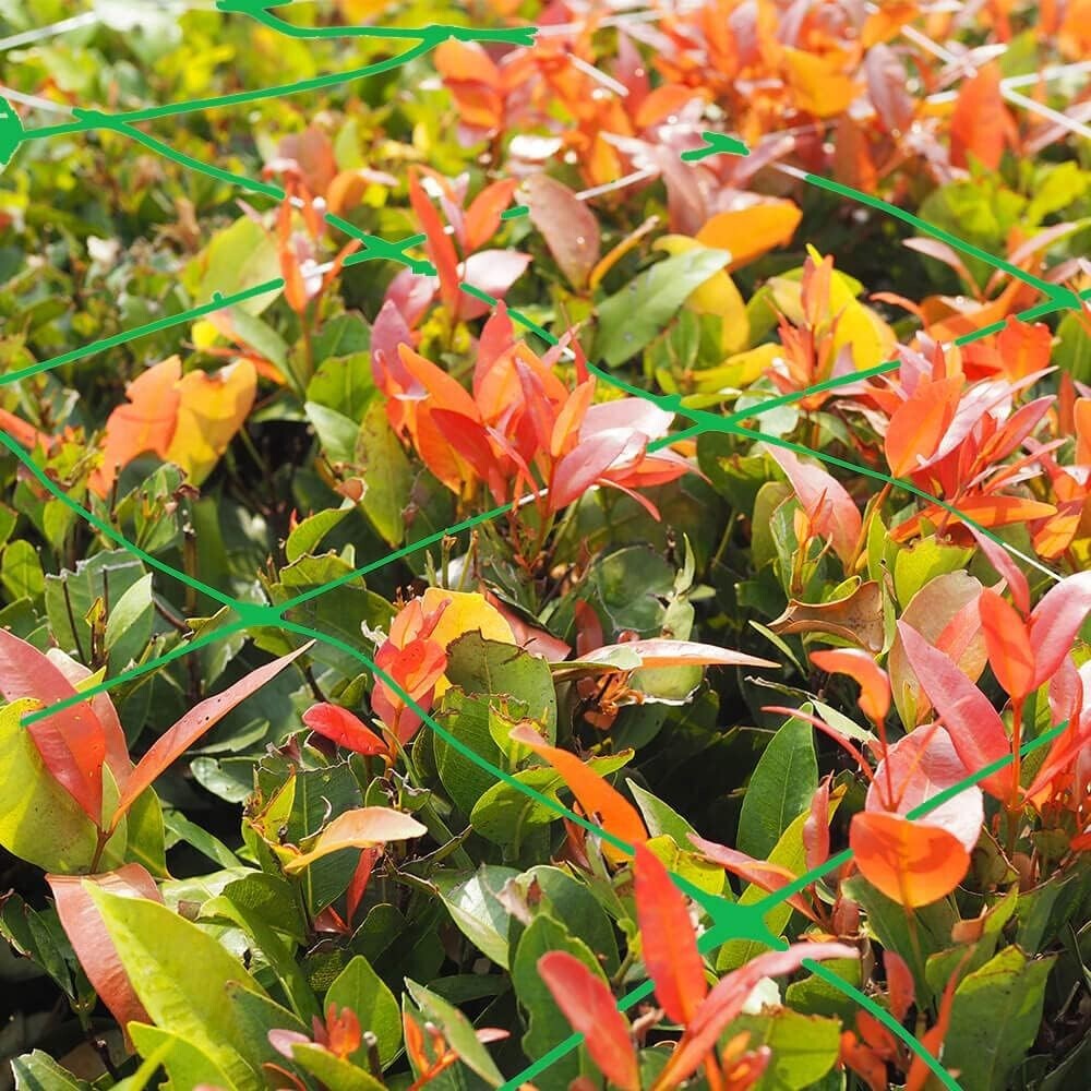 Durable Green Plant Support Net - 79''x328' Heavy Duty Mesh for Climbing Plants