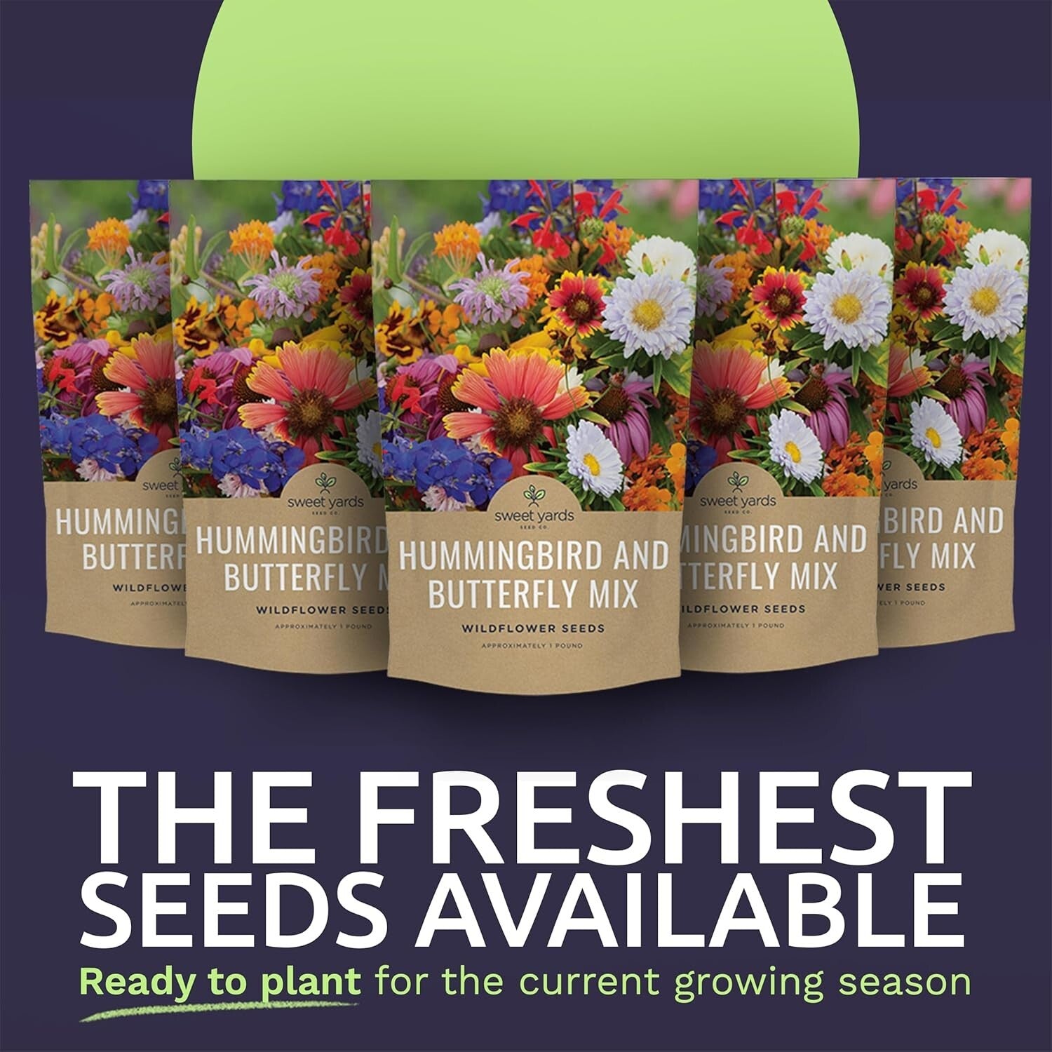 Bulk Wildflower Seed Mix for Butterflies & Hummingbirds - 5 Pounds Fresh Seeds