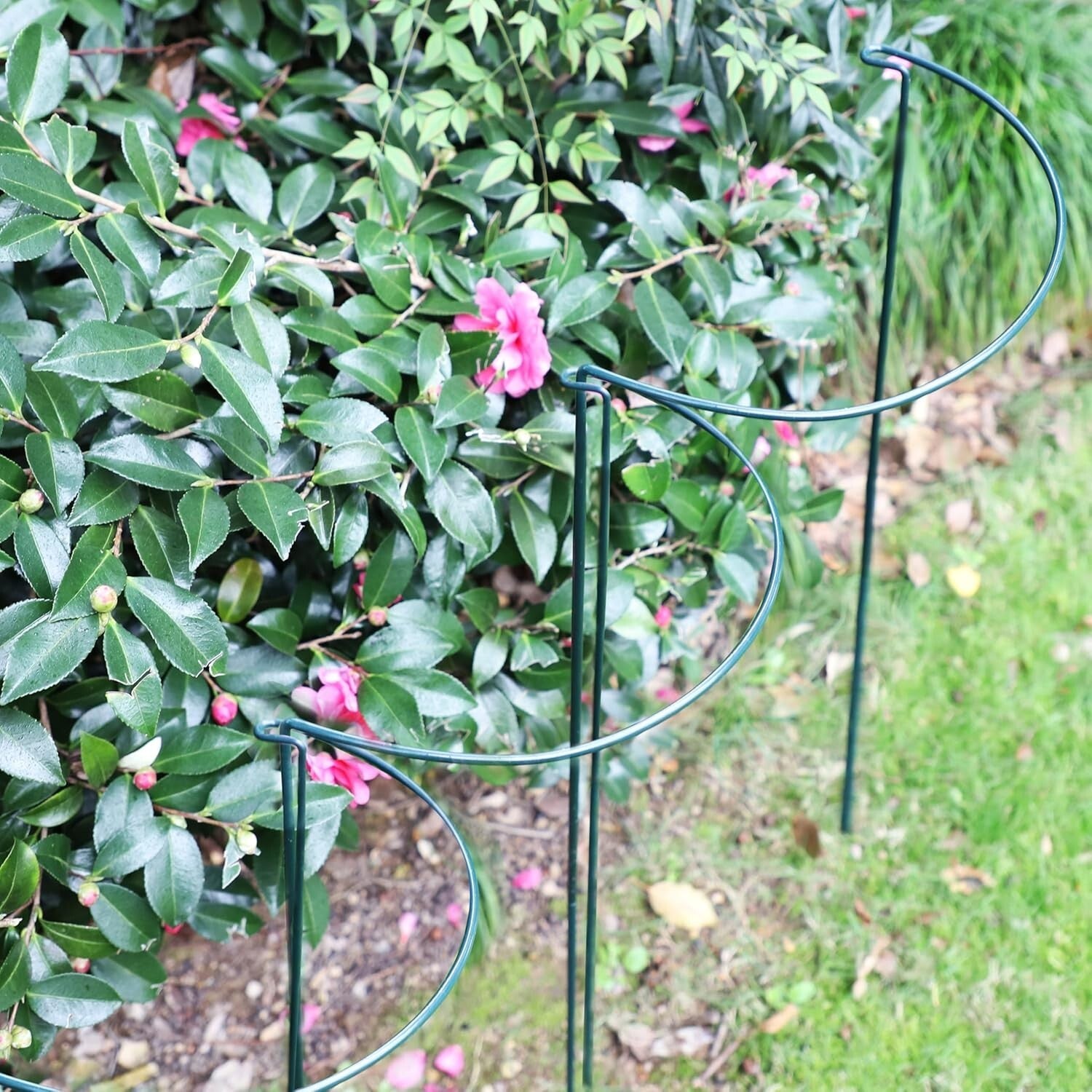 20 Pack Metal Plant Supports - 10" Wide x 24" High Interlocking Garden Cages