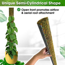 Load image into Gallery viewer, 59'' D-Shape Moss Pole for Climbing Plants - Durable Indoor Plant Support