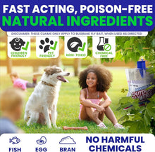 Load image into Gallery viewer, Easy Setup Fly Trap Bags - 12 Non-Toxic Hanging Lures for Outdoor Pest Control