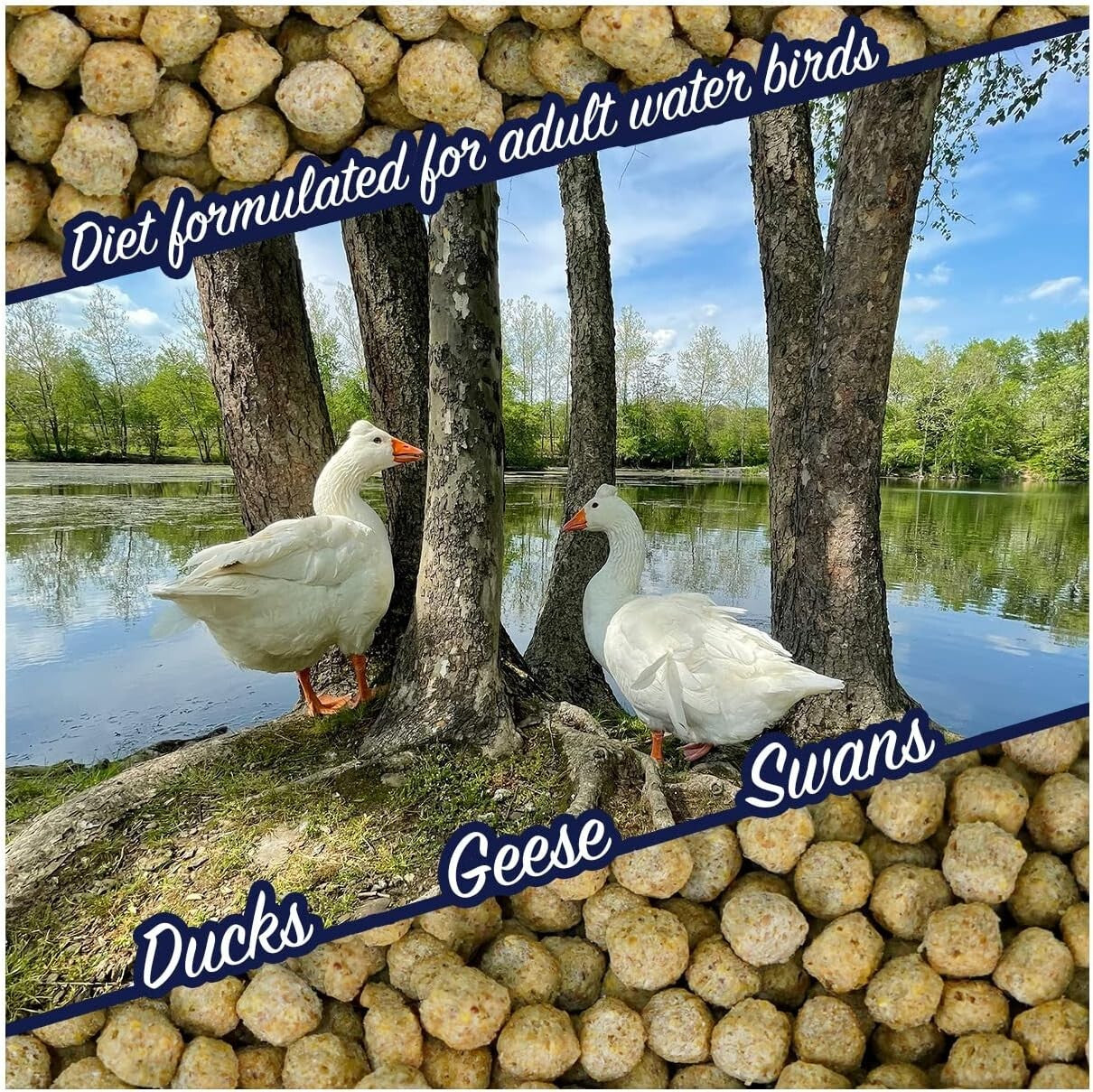 20 lb Premium Floating Pellets for Ducks, Swans & Geese - Seafood Flavor