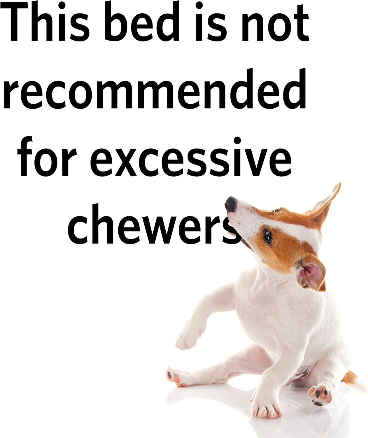 Maxx 36-Inch Water-Resistant Dog Bed with Non-Slip Base for Crate Comfort