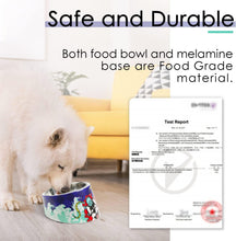Load image into Gallery viewer, Non-Spill 15° Slanted Pet Bowl for Dogs &amp; Cats - Modern &amp; Functional Design