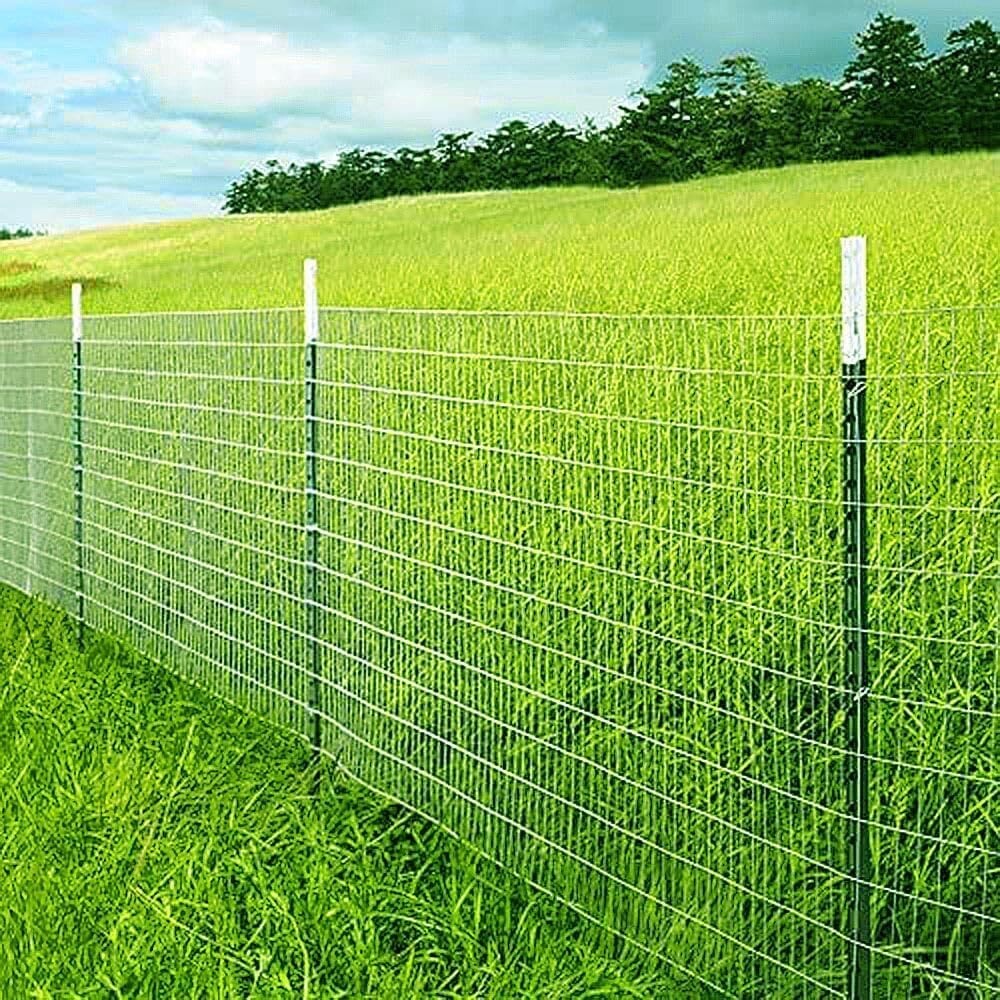 Durable Galvanized Welded Wire Fence - 16GA 24" x 50' for Gardens & Livestock