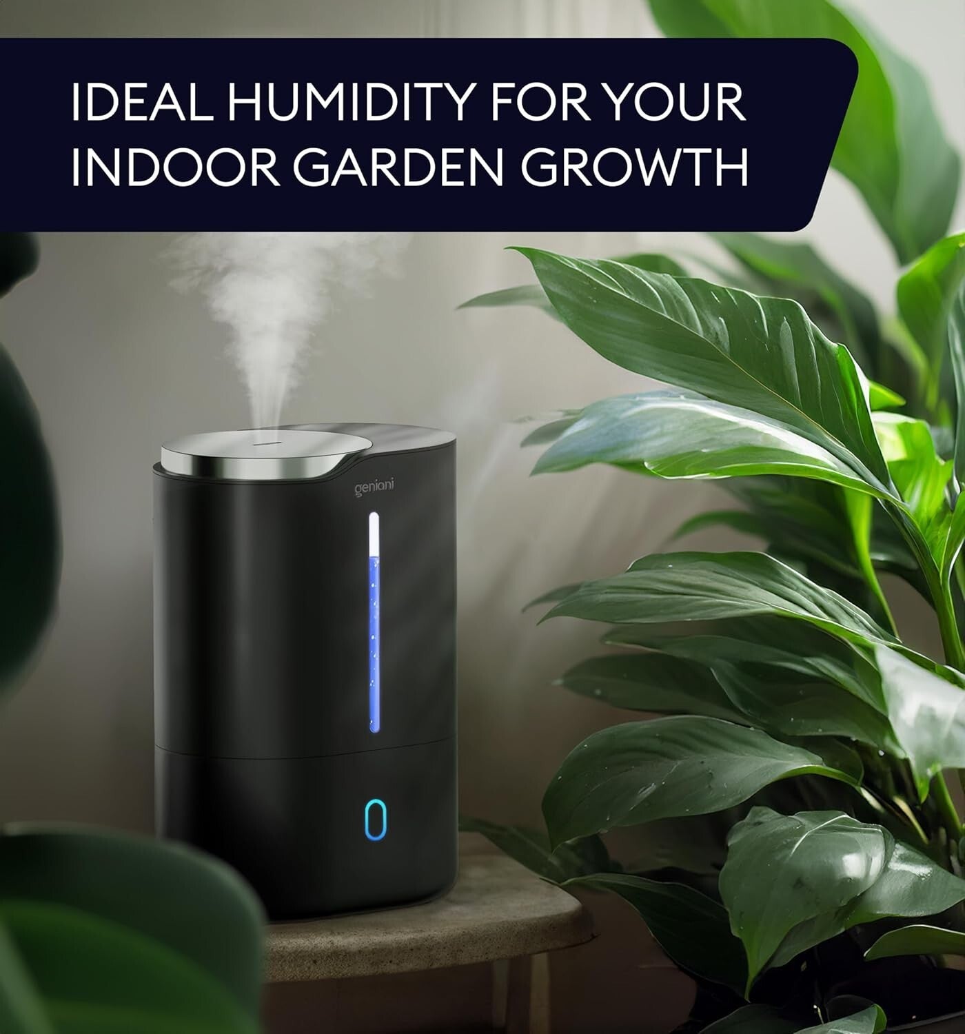 6L Top Fill Humidifier & Essential Oil Diffuser – Black Ultrasonic Quiet Mist