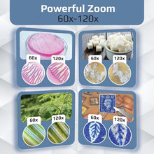 Load image into Gallery viewer, Professional Pocket Microscope with LED Light &amp; Smartphone Clip - Set of 4