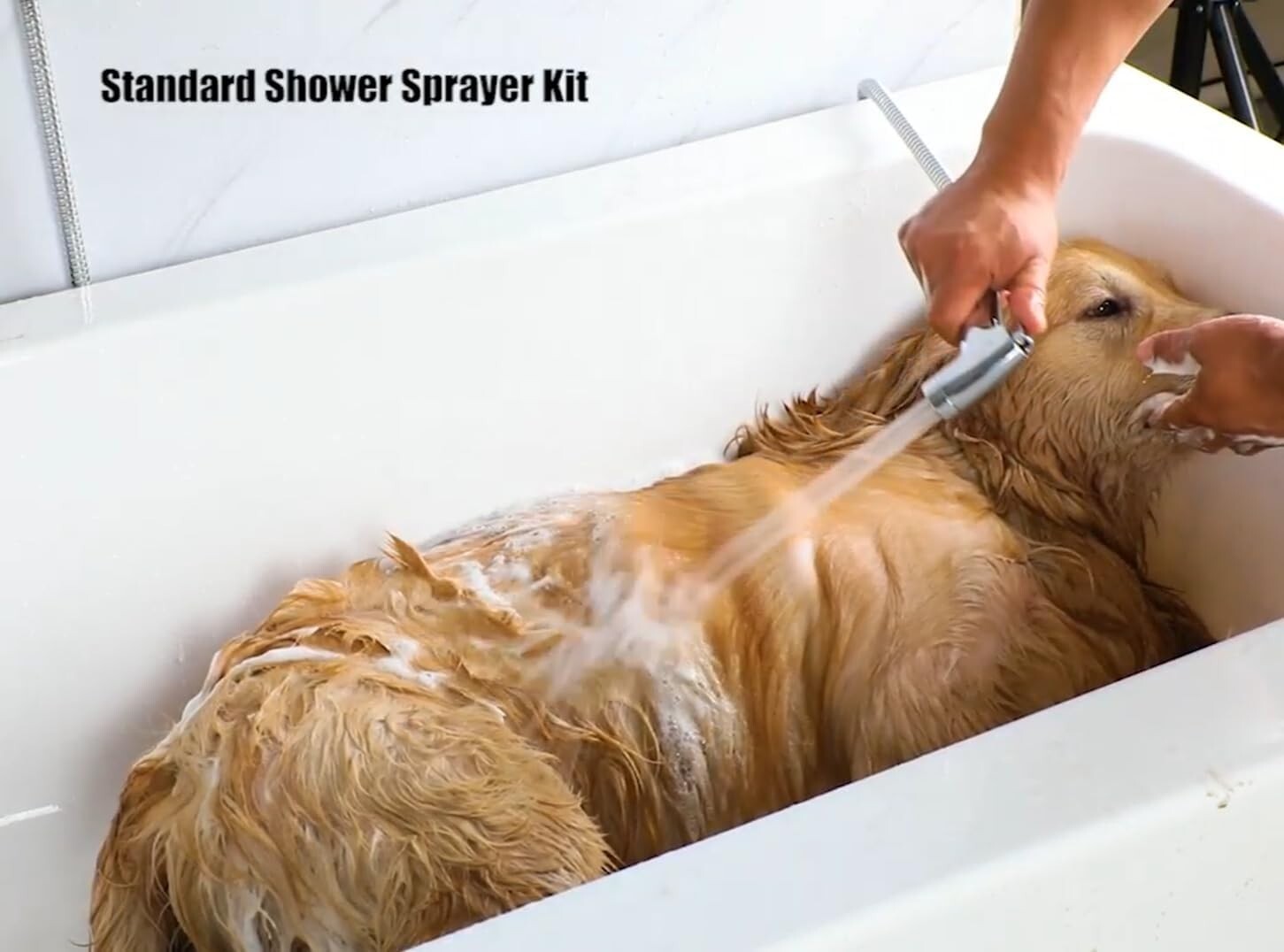 Premium Pet Shower Kit - 8ft Flex Hose & High-Pressure Spray for Easy Grooming