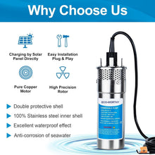 Load image into Gallery viewer, Durable Stainless Steel 12V DC Well Pump - Ideal for Livestock and Irrigation