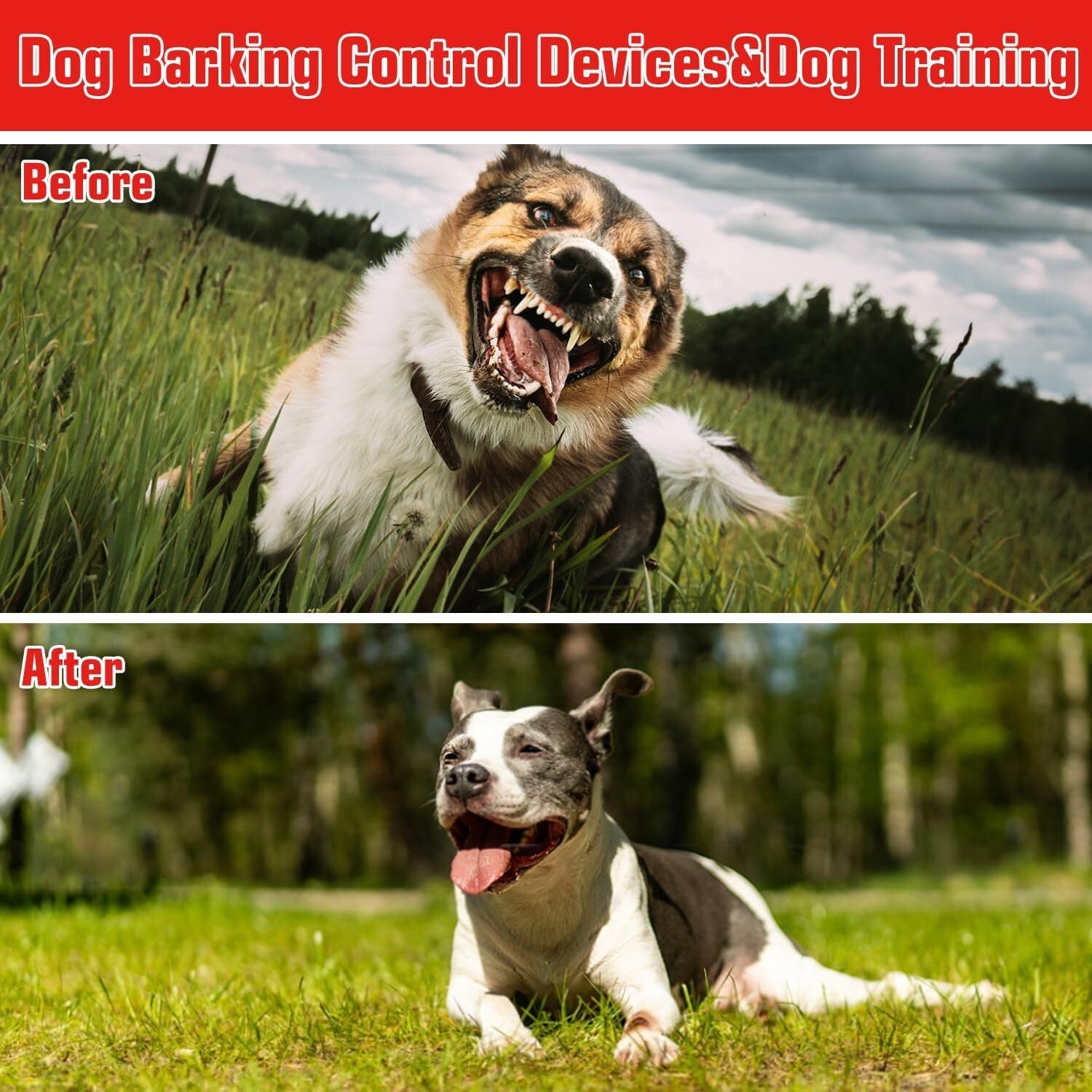 Compact 3-Mode Anti Barking Device for Effective Dog Training - USB Rechargeable