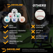 Load image into Gallery viewer, 6-Piece Real Leather Weighted Pitching Balls Set with 16-Week Training Program