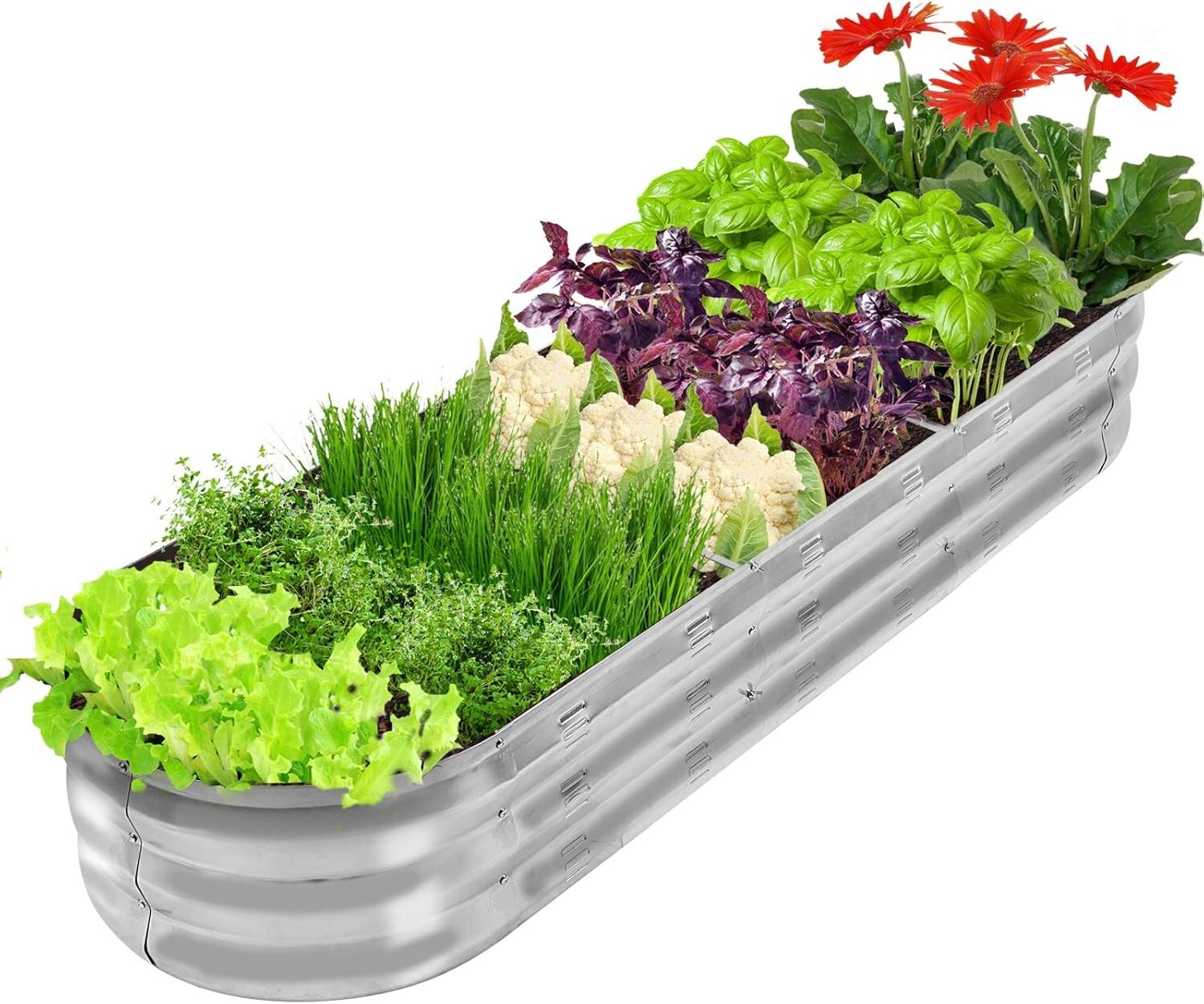 Modern Raised Garden Bed Kit in Galvanized Metal for Easy Vegetable Gardening