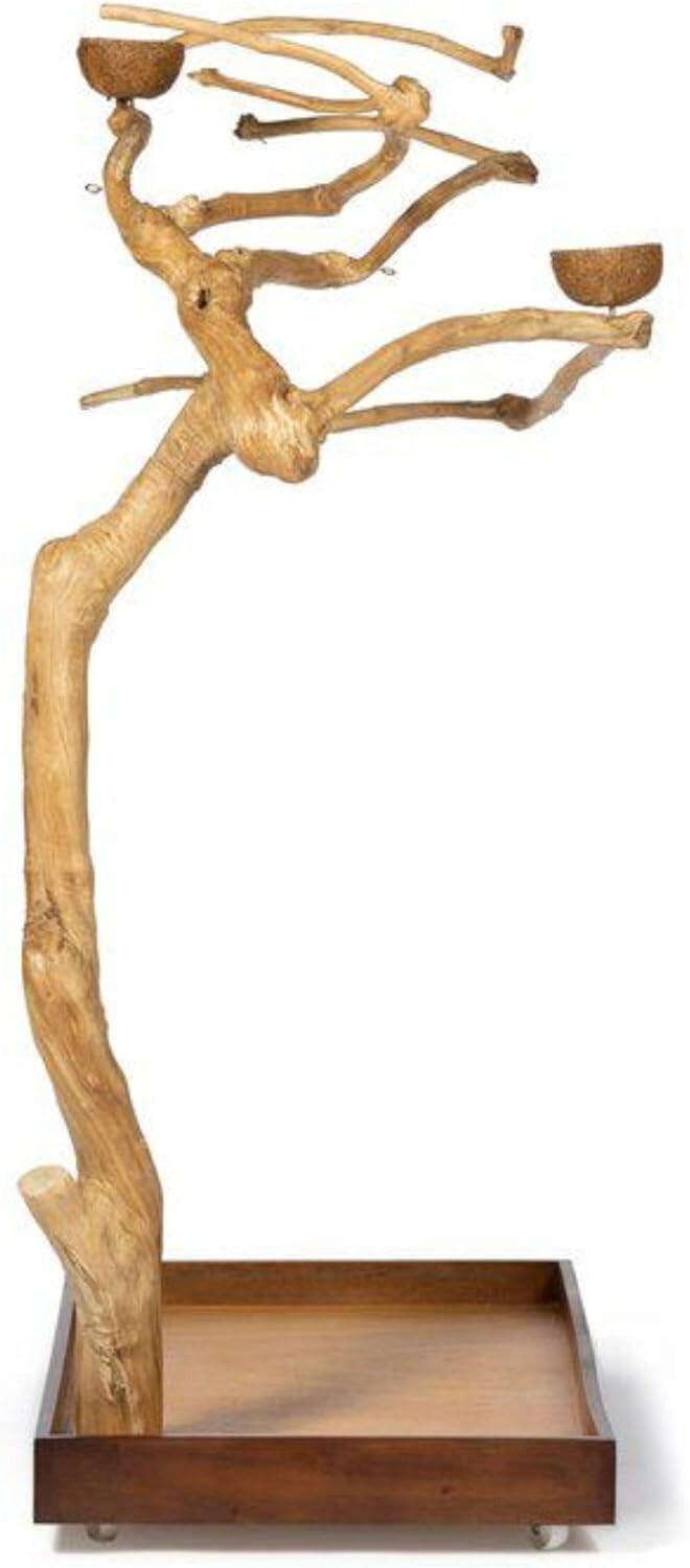 Medium Coffeewood Tree Playstand - Ideal for Cockatiels, Quakers, and Conures