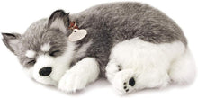 Load image into Gallery viewer, Lifelike Alaskan Husky Plush Toy - Realistic Interactive Companion for All Ages