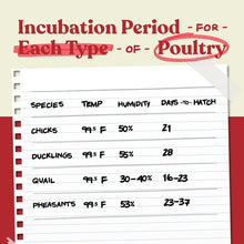 Load image into Gallery viewer, Automatic Egg Incubator for Chickens &amp; Ducks - Holds 12-22 Eggs with 360° View