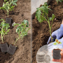Load image into Gallery viewer, 500 Pcs 30mm Peat Pellets Seed Starter Pods - Ideal for Herbs and Vegetables