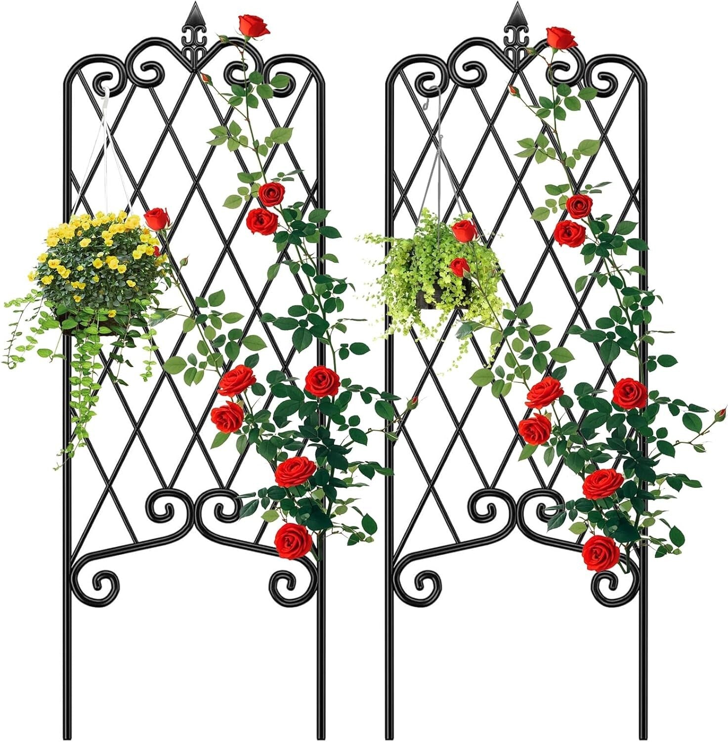 Versatile 60" x 18" Metal Garden Trellis for Ivy, Peas & Other Climbing Plants