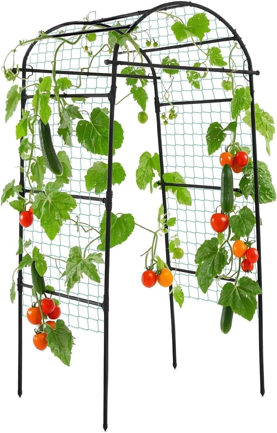 Elegant 80-Inch Garden Arch Trellis for Climbing Plants - Durable Metal Support