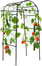 Load image into Gallery viewer, Elegant 80-Inch Garden Arch Trellis for Climbing Plants - Durable Metal Support
