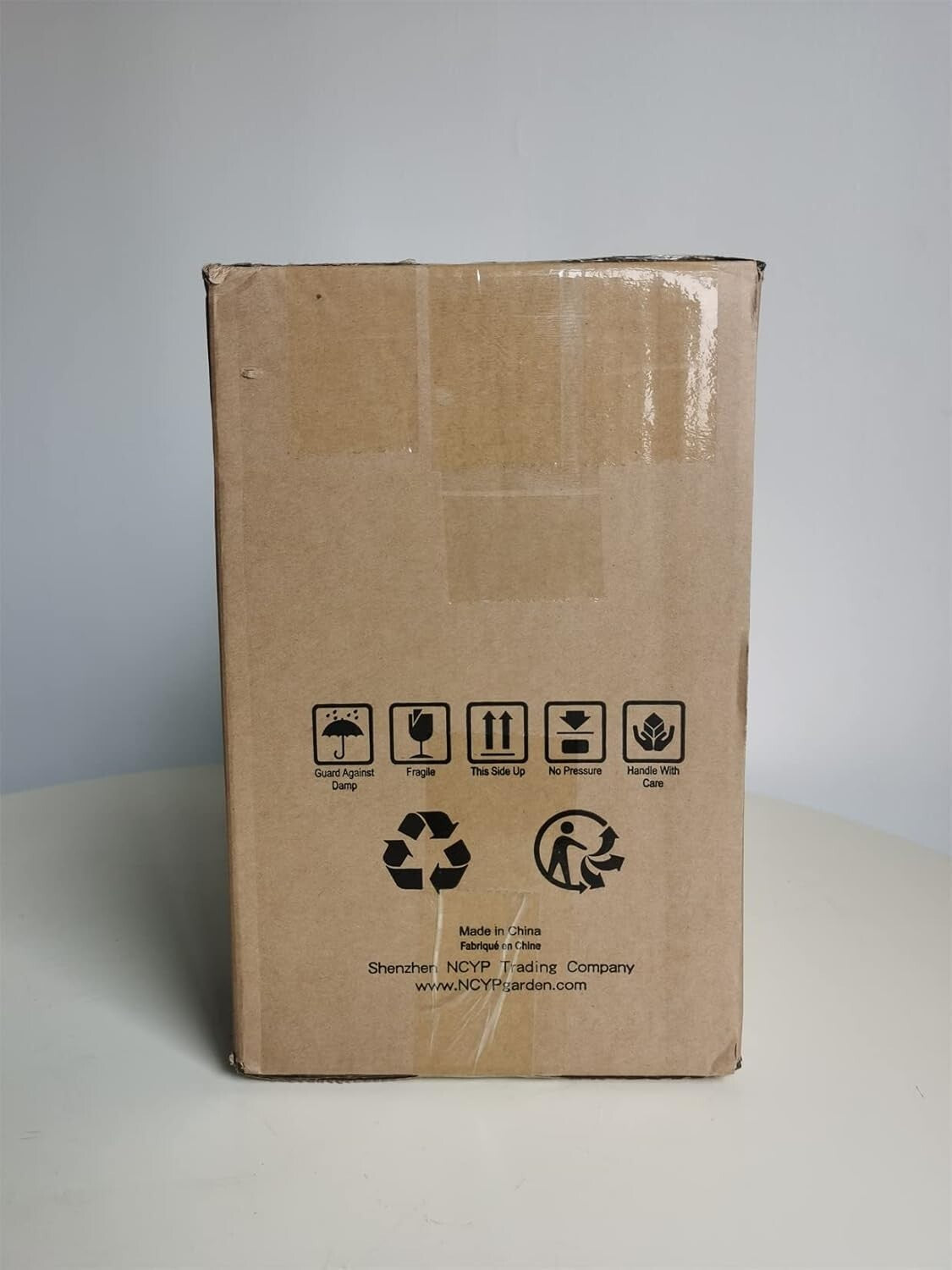 9.84 x 5.31 x 7.87 Black Glass Terrarium - Perfect for Indoor Cacti & Succulents