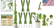 Load image into Gallery viewer, Elegant 22'' Indoor Plant Stakes - Stackable Support Poles for Climbing Plants